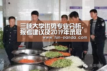 体育API
